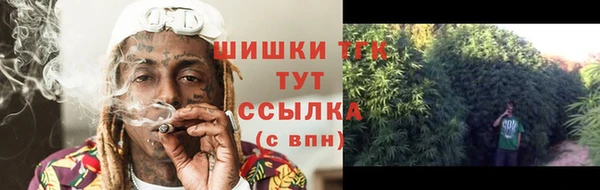 винт Козловка