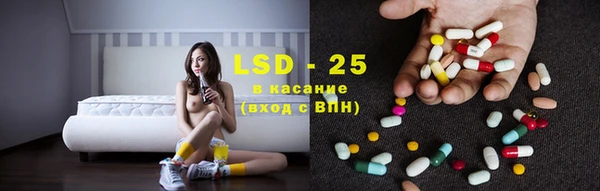 амф Щигры