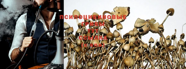 винт Козловка