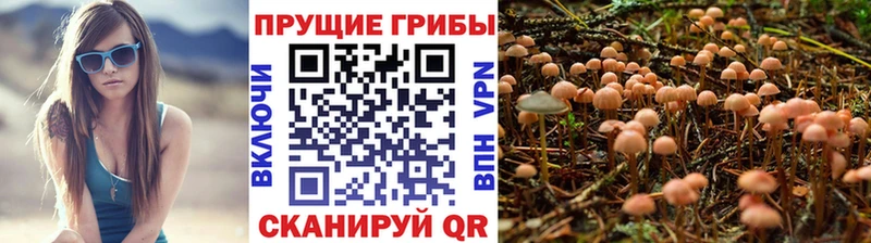 Галлюциногенные грибы прущие грибы  Ростов-на-Дону 