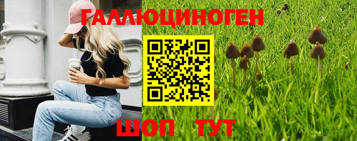 Псилоцибиновые грибы прущие грибы Ростов-на-Дону