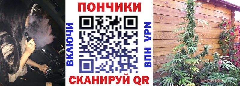 Канабис план  наркошоп  Ростов-на-Дону 
